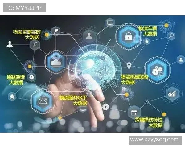 打造智能化快递物流网络提升效率与客户体验的创新路径探索 打造智能化快递物流网络提升效率与客户体验的创新路径探索