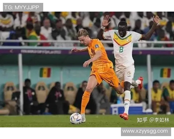 南京排球队的速度分析与战术探讨如何提升比赛表现与团队协作