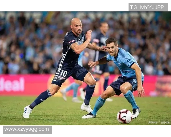 中央海岸与阿德莱斯精彩对决比分直播全程跟踪与分析