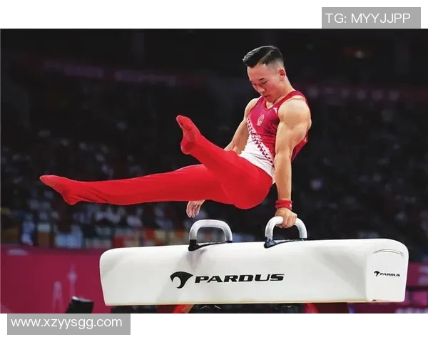 上海乒乓球队战术创新引领潮流助力乒乓球竞技水平再攀高峰 上海乒乓球队战术创新引领潮流助力乒乓球竞技水平再攀高峰