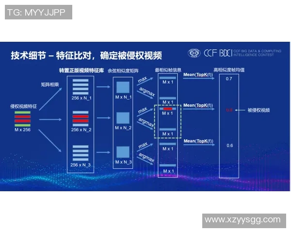 深圳极限运动队节奏表现分析与提升策略探讨 深圳极限运动队节奏表现分析与提升策略探讨
